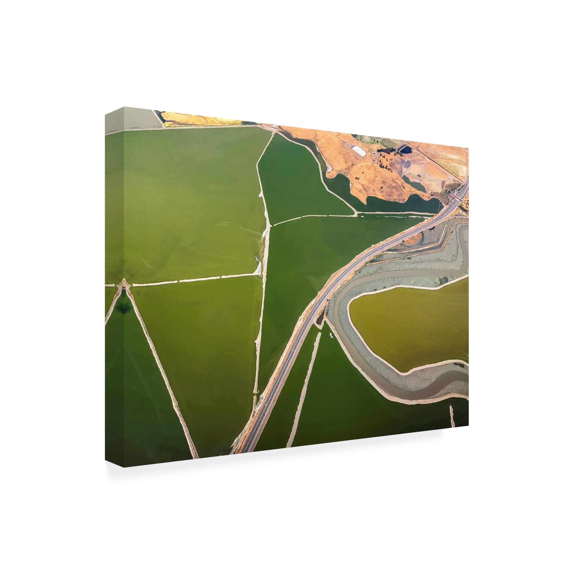 Trademark Fine Art 'Boundaries' by Rob Darby - Stretched Canvas Wall Art for Living Room, Bedroom & Office Decor