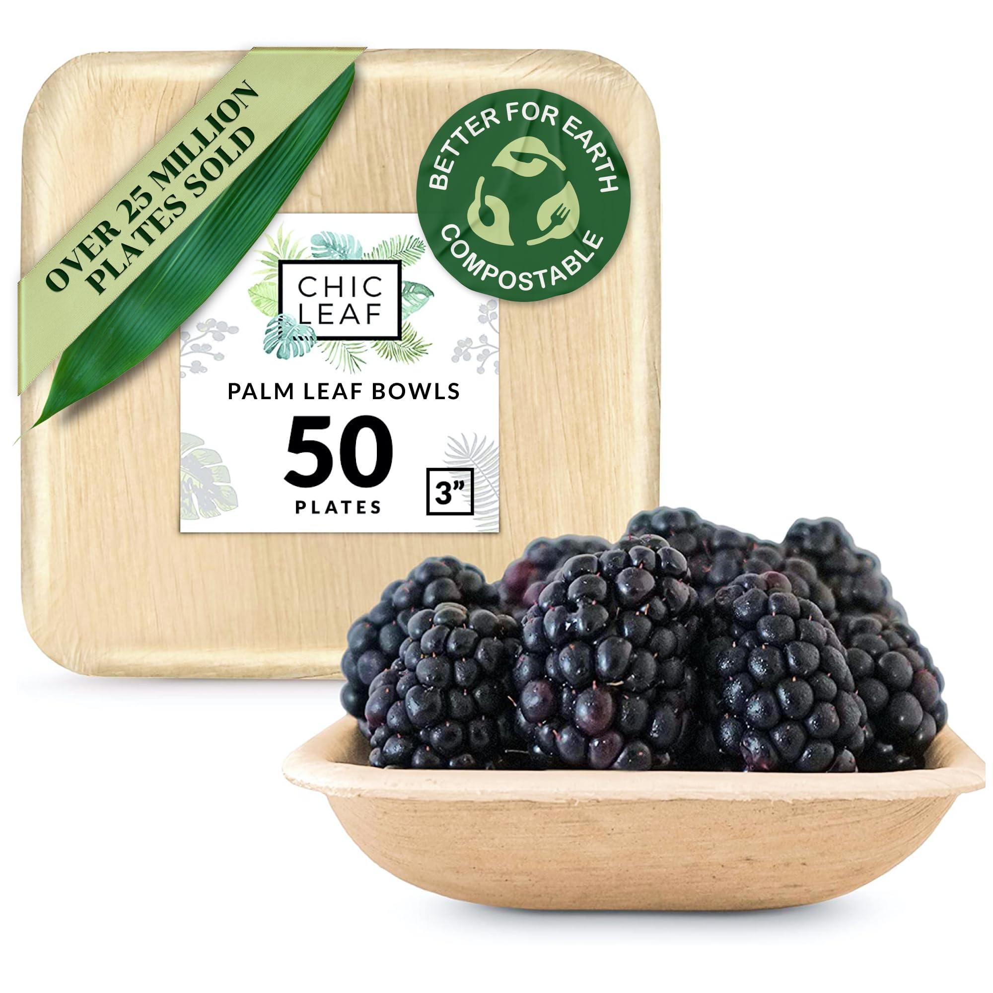 Eco-Friendly 3 Inch Square Mini Palm Leaf Plates (50 Pack) - 100% Compostable & Biodegradable Disposable Dinnerware for Weddings, Parties, Events - Perfect for Cocktail Appetizers, Desserts & Small Bites