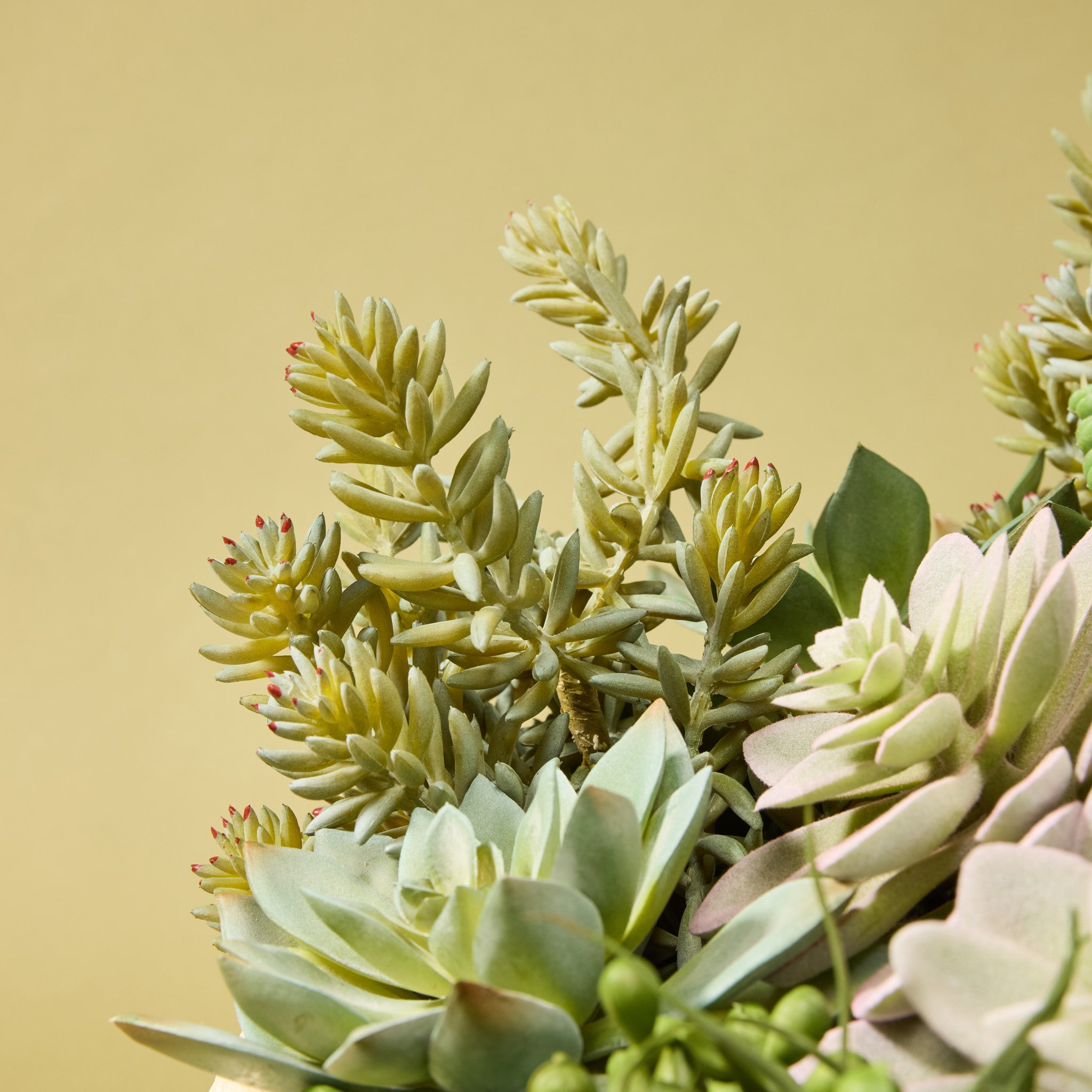 Stylish Faux Succulent Arrangement in Textured Cement Planter - 30cm Modern Home Decor for Living Room, Office & Indoor Spaces