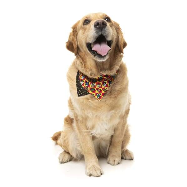 Premium Fuzzyard Doggoforce Pet Bandana for Dogs - Adjustable & Comfortable (2 Sizes: Small & Large) - Perfect for Daily Walks, Pet Parties & Photo Shoots
