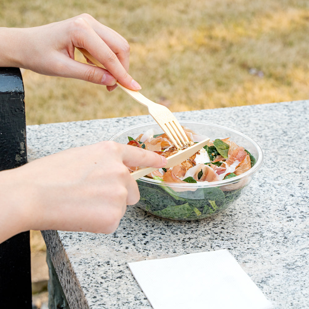 18 oz Clear Plastic Salad Bowls - 6