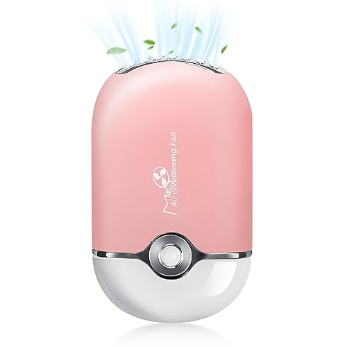 Pink Lash Fan