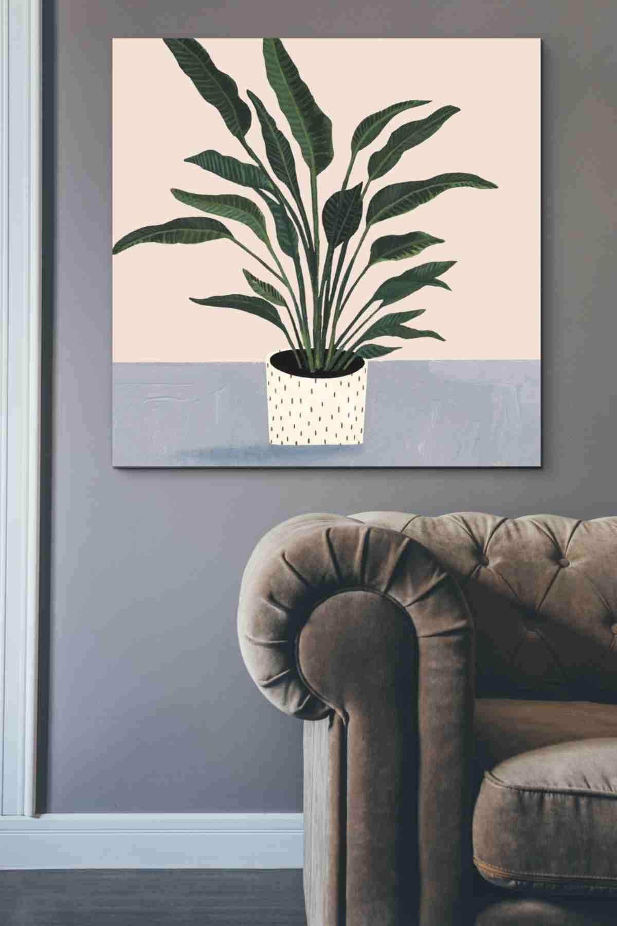Victoria Borges 'Houseplant IV' 37x37 Inch Canvas Wall Art - Modern Botanical Home Decor for Living Room, Bedroom & Office