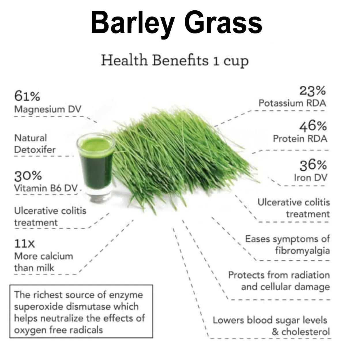 Naveta 100% Pure Organic Barley Grass Powder - 3 Pack | Superfood for Smoothies, Juices & Detox | USDA Certified, Vegan & Gluten-Free | Boosts Energy & Immunity | Perfect for Daily Wellness & Healthy Lifestyle