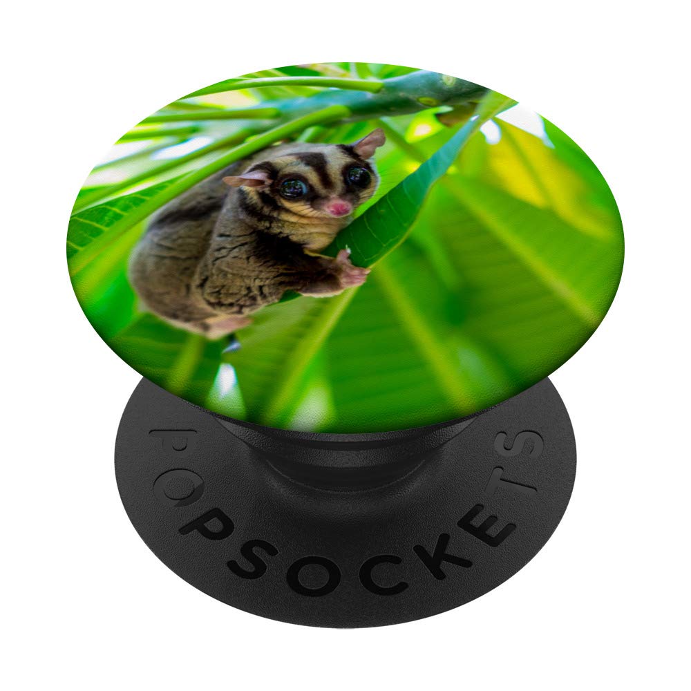 Best Sugar Glider Gifts for Pet Owners - Unique Presents for Sugar Glider Lovers | Perfect for Birthdays, Holidays & Special Occasions