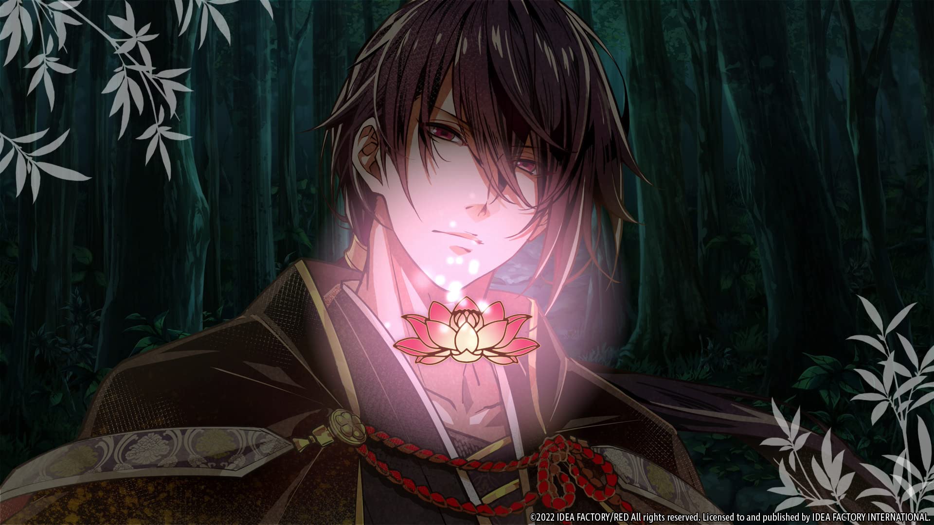 Birushana: Rising Flower of Genpei - Nintendo Switch Game | Historical Action RPG for Anime & Samurai Fans | Perfect for Gaming Nights & Japanese Culture Enthusiasts