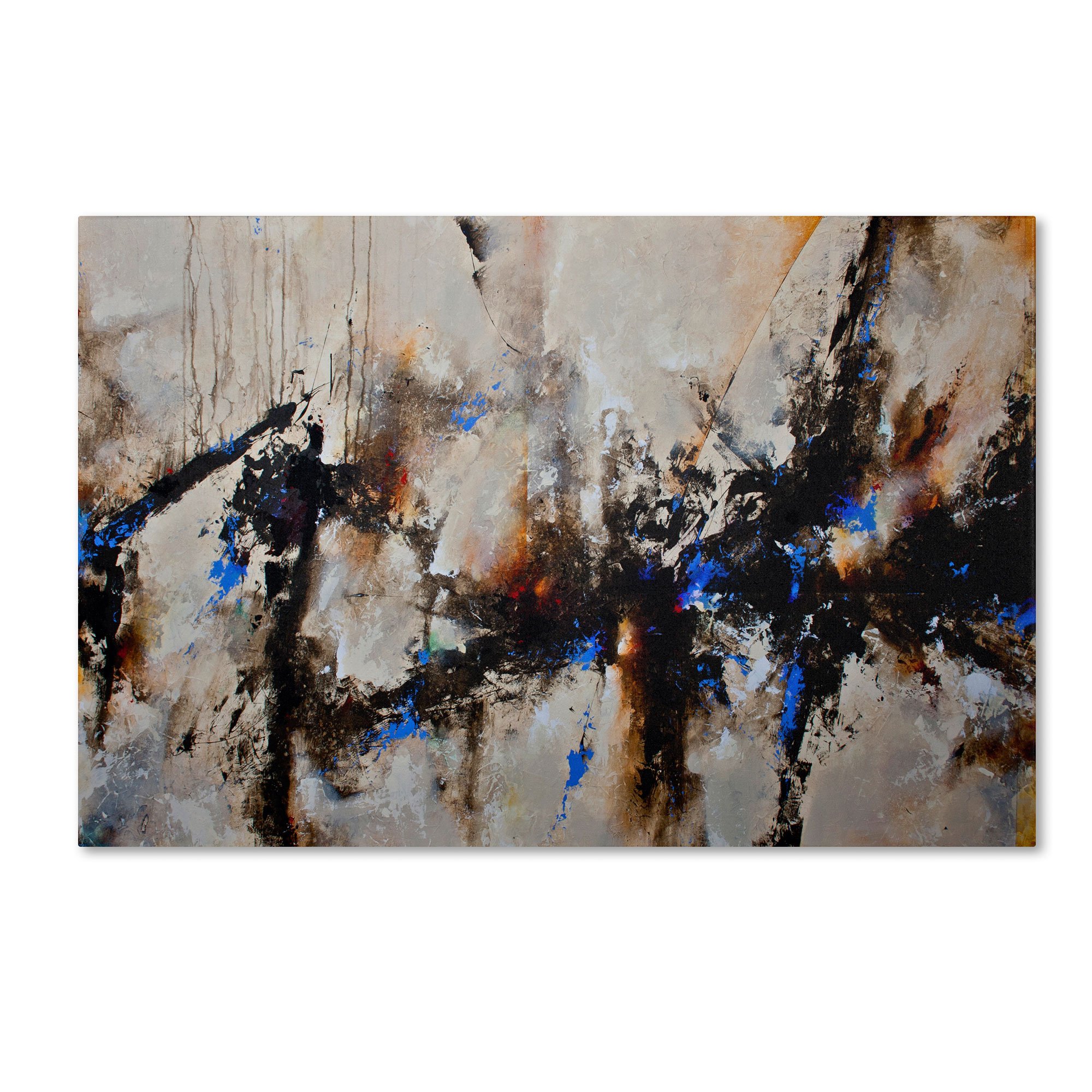 Trademark Fine Art 'Sands of Time III' Canvas Wall Art Print by CH Studios - Perfect for Living Room, Bedroom & Office Decor