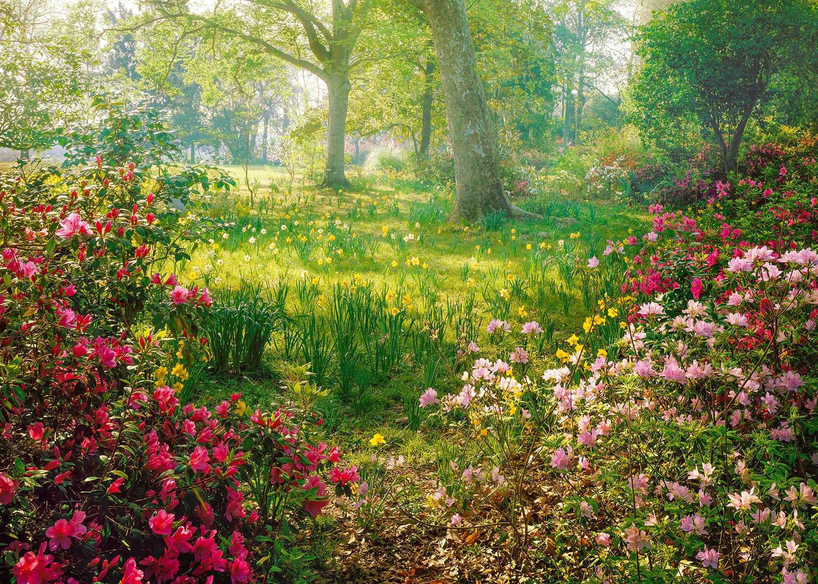 Ravensburger 1000 Piece Adult Jigsaw Puzzle - Flower Meadow (88923) | Perfect for Relaxation, Family Bonding & Home Decor