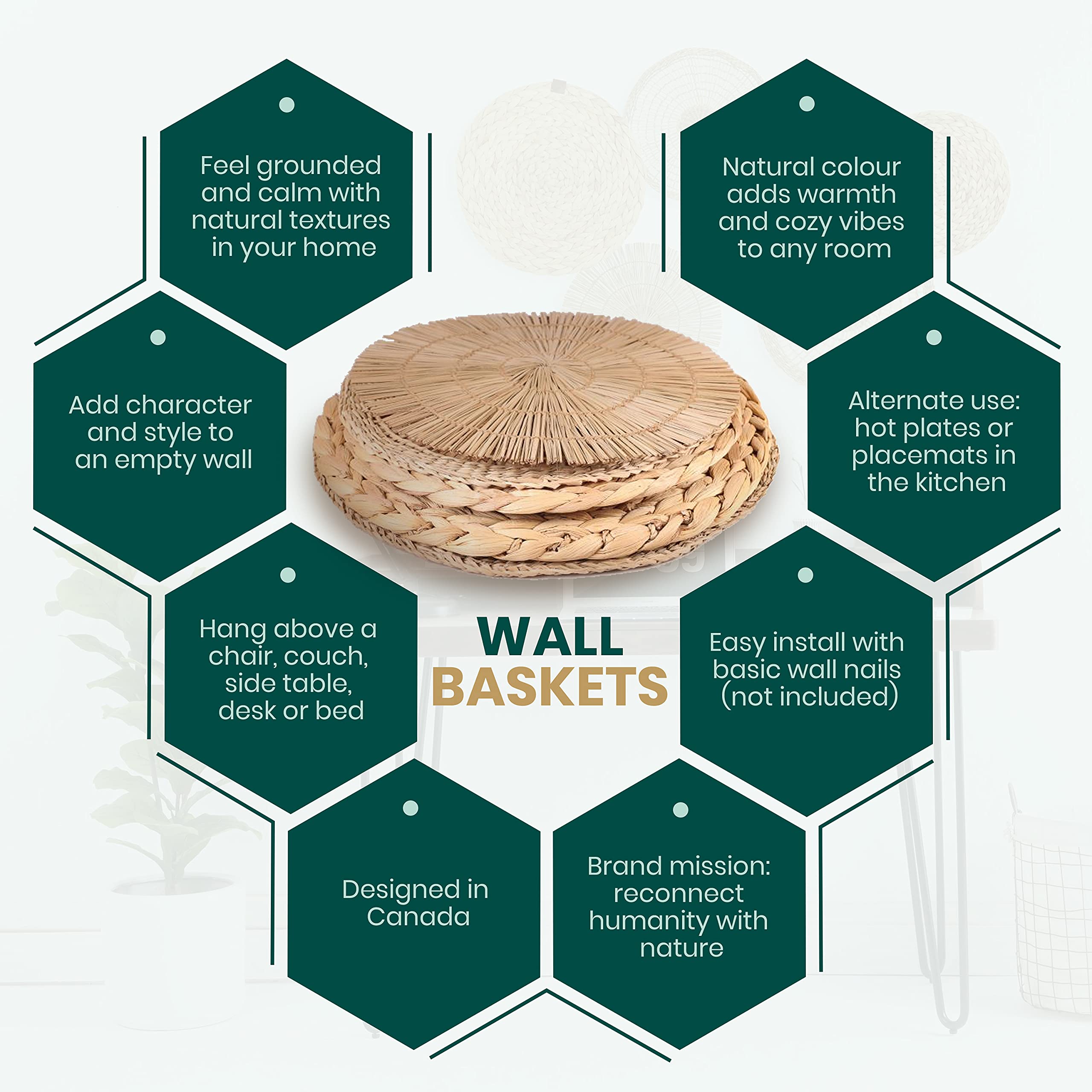 Boho Woven Wall Baskets Set of 5 - Rattan Decor for Home & Office