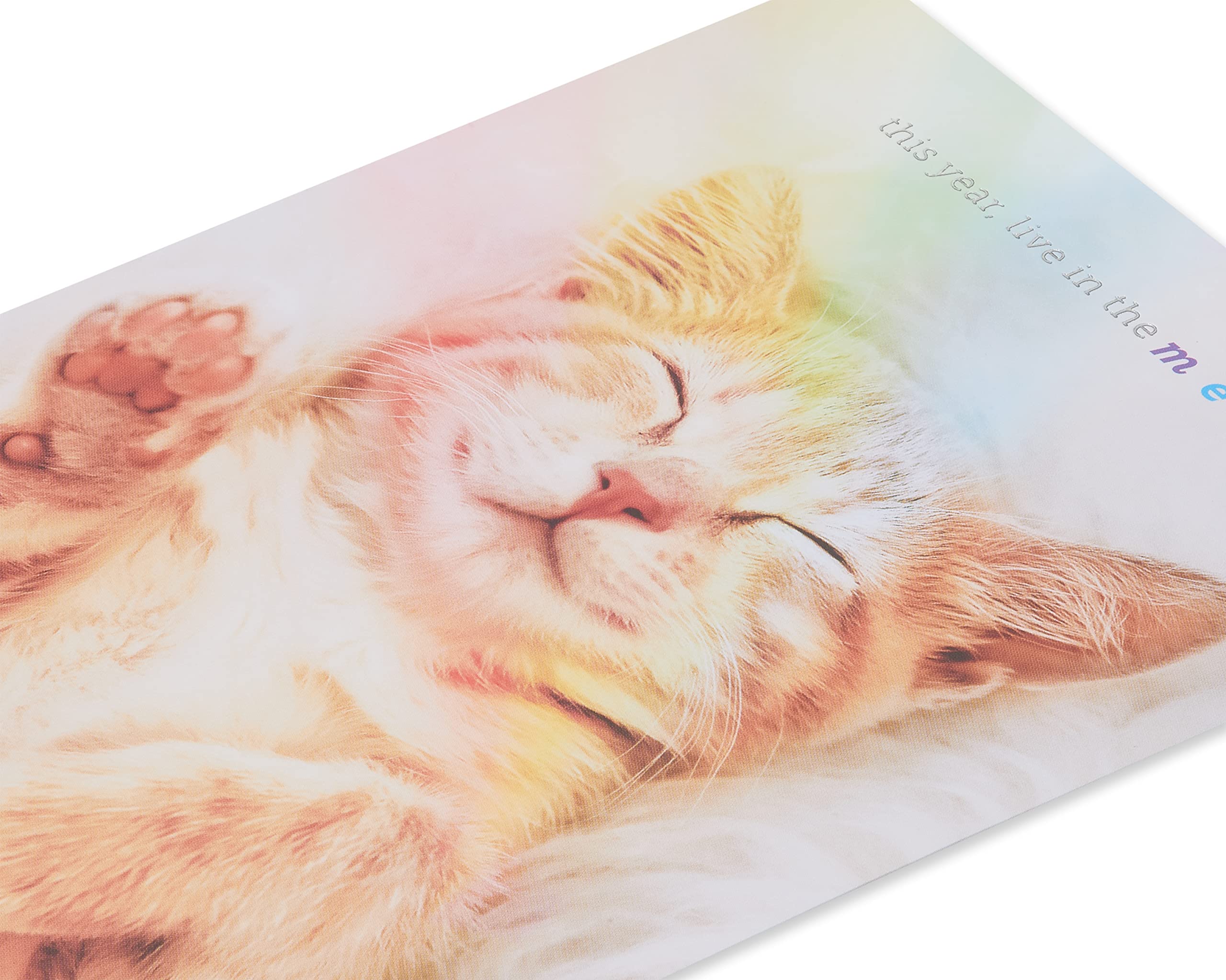 Papyrus Cat Birthday Card - Happy Birthday Greeting Card for Cat Lovers | Perfect for Cat Themed Parties & Pet Celebrations