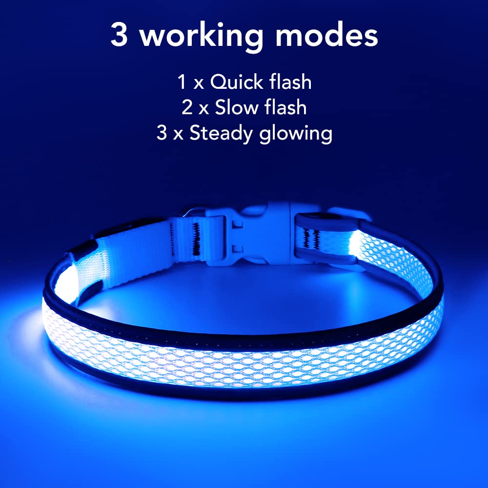 BSEEN Rechargeable LED Dog Collar - Reflective Glow in The Dark Collar for Small Dogs, Blue - Waterproof & Adjustable for Night Walking, Jogging, and Outdoor Safety
