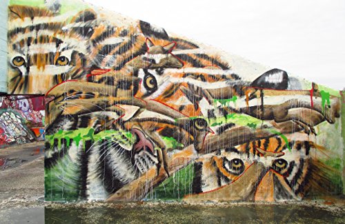 Tiger Eyes