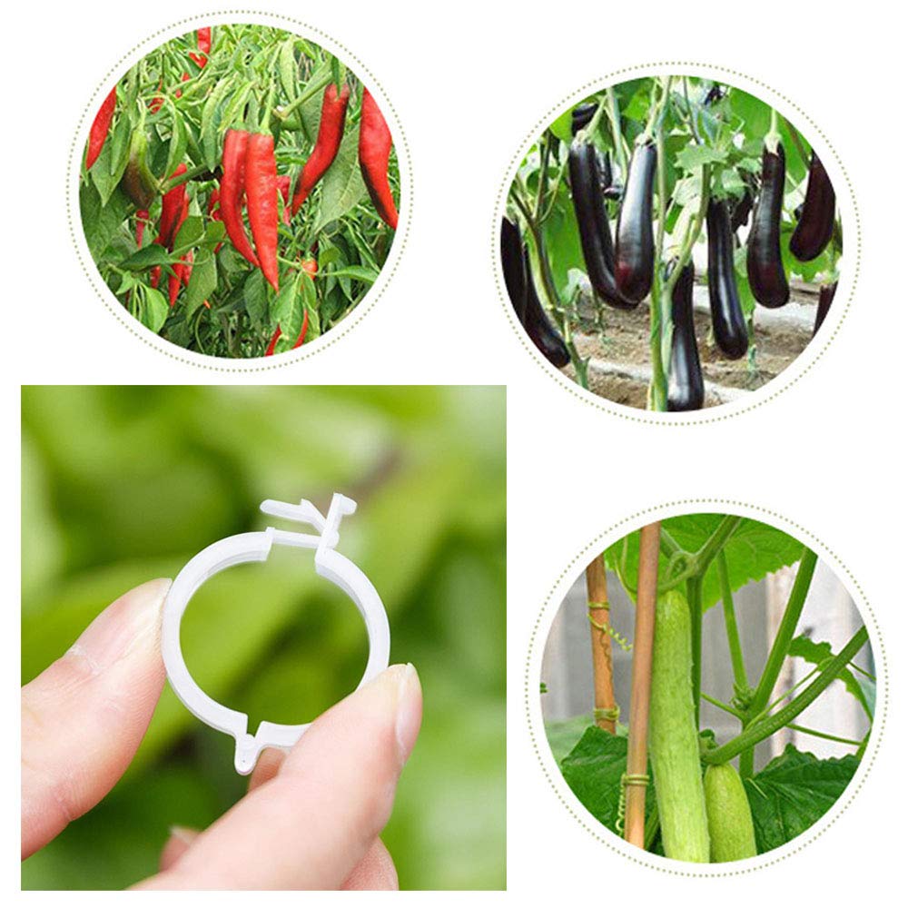 300 PCS White Plant Support Garden Clips - Durable Tomato Vine & Flower Clips for Healthy Growth | Perfect for Orchids, Tomatoes & Vine Plants | Indoor & Outdoor Gardening Essential