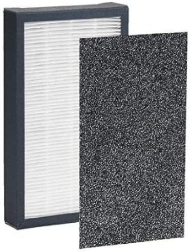 Nispira True HEPA Filter Replacement for GermGuardian AC4100 Air Purifier - Compatible with FLT4100 Filter E (2-Pack) - Ideal for Allergies, Dust, Pet Dander in Bedrooms & Living Rooms
