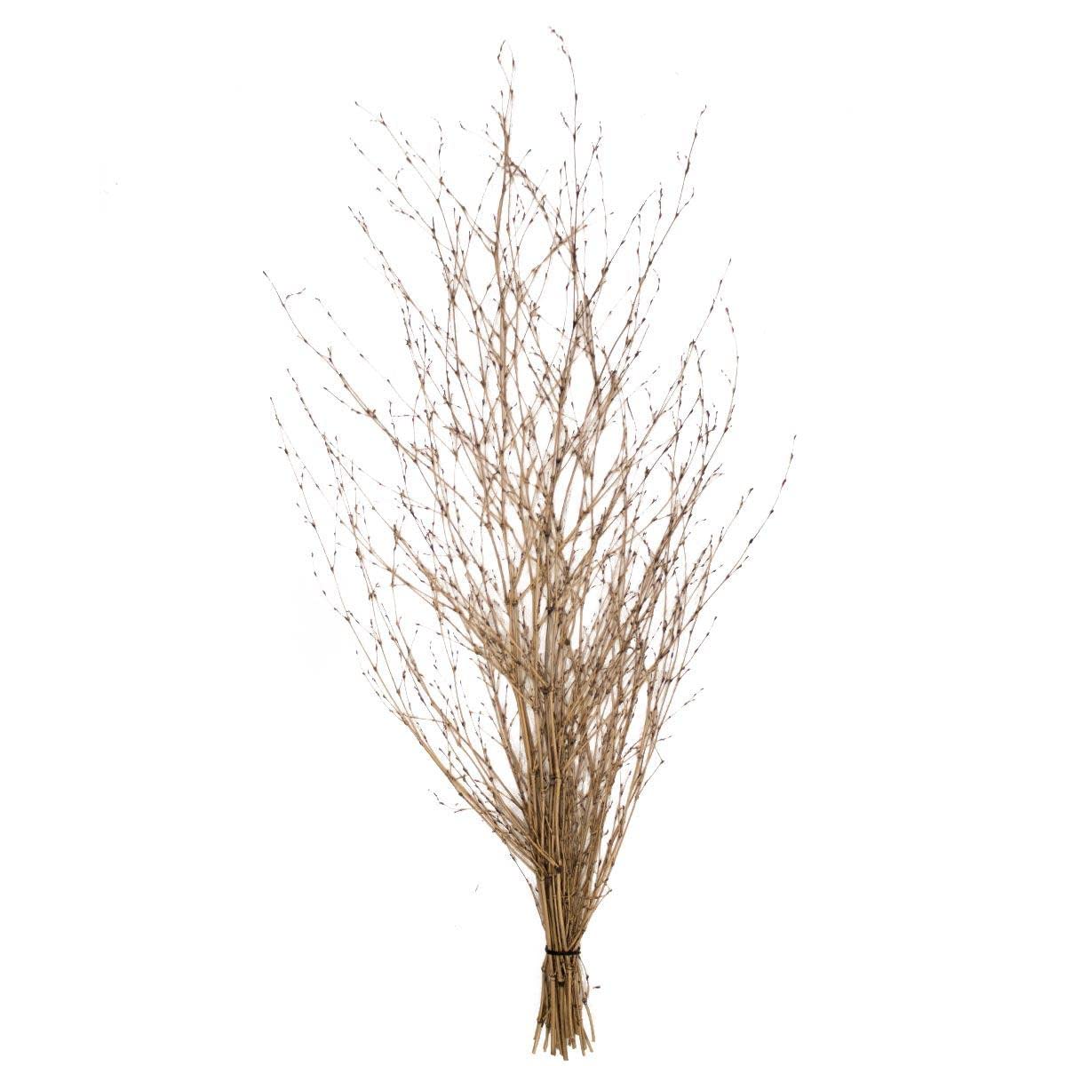 Final Approach Tough Brush - Durable Brown Hunting & Outdoor Gear for Waterfowl, Turkey & Upland Game - Perfect for Blind Cleaning & Field Use