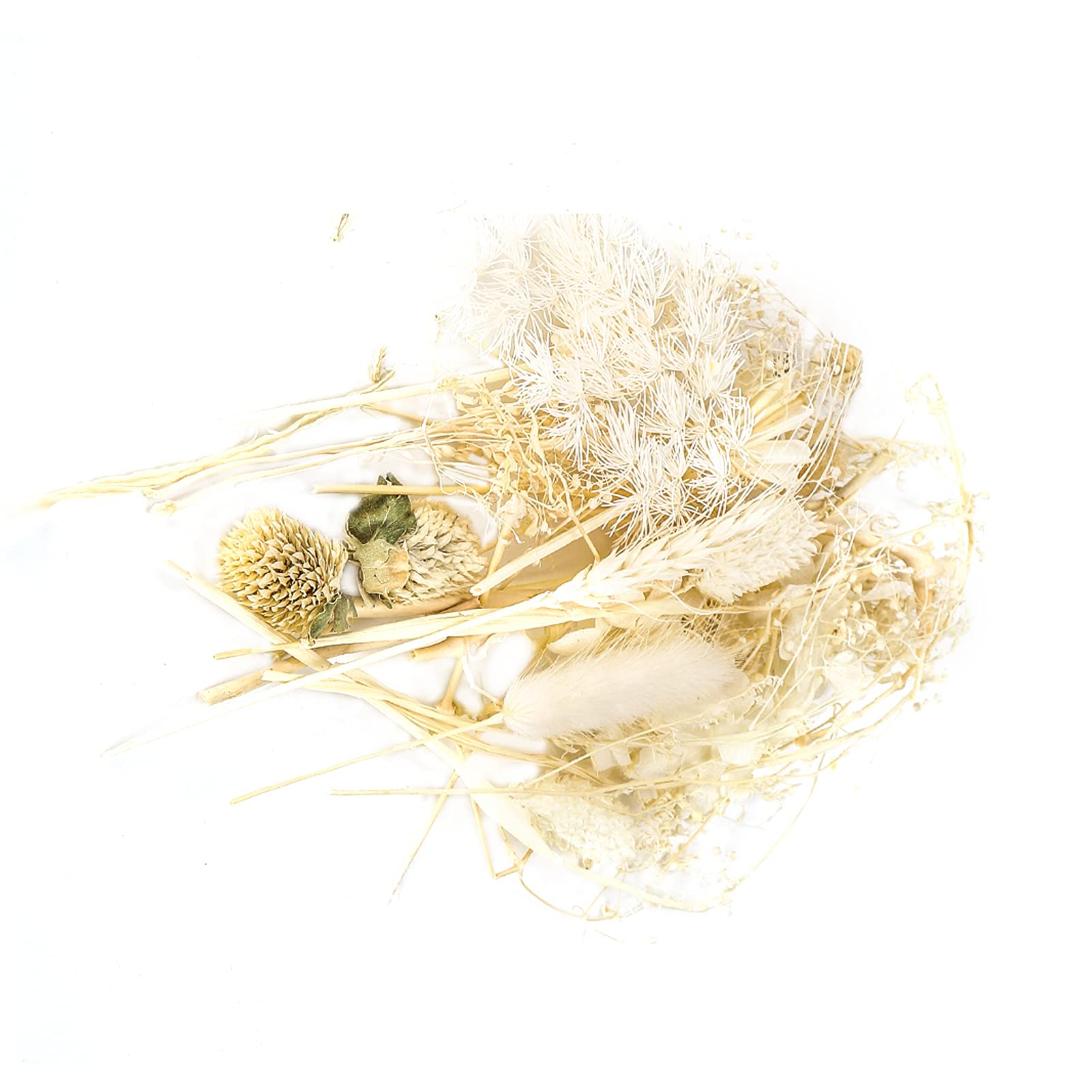 Air-Dried Bouquet - Natural Dried Flowers for DIY Floral Arrangements, Home Decor, Wedding Centerpieces & Gift Wrapping (Beige Series) | Perfect for Rustic Weddings, Boho Home Decor & Handmade Crafts