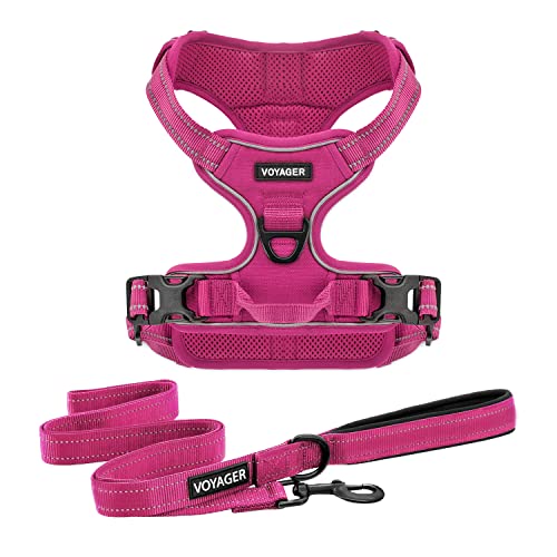 Harness Leash Set (Fuchsia Nylon)