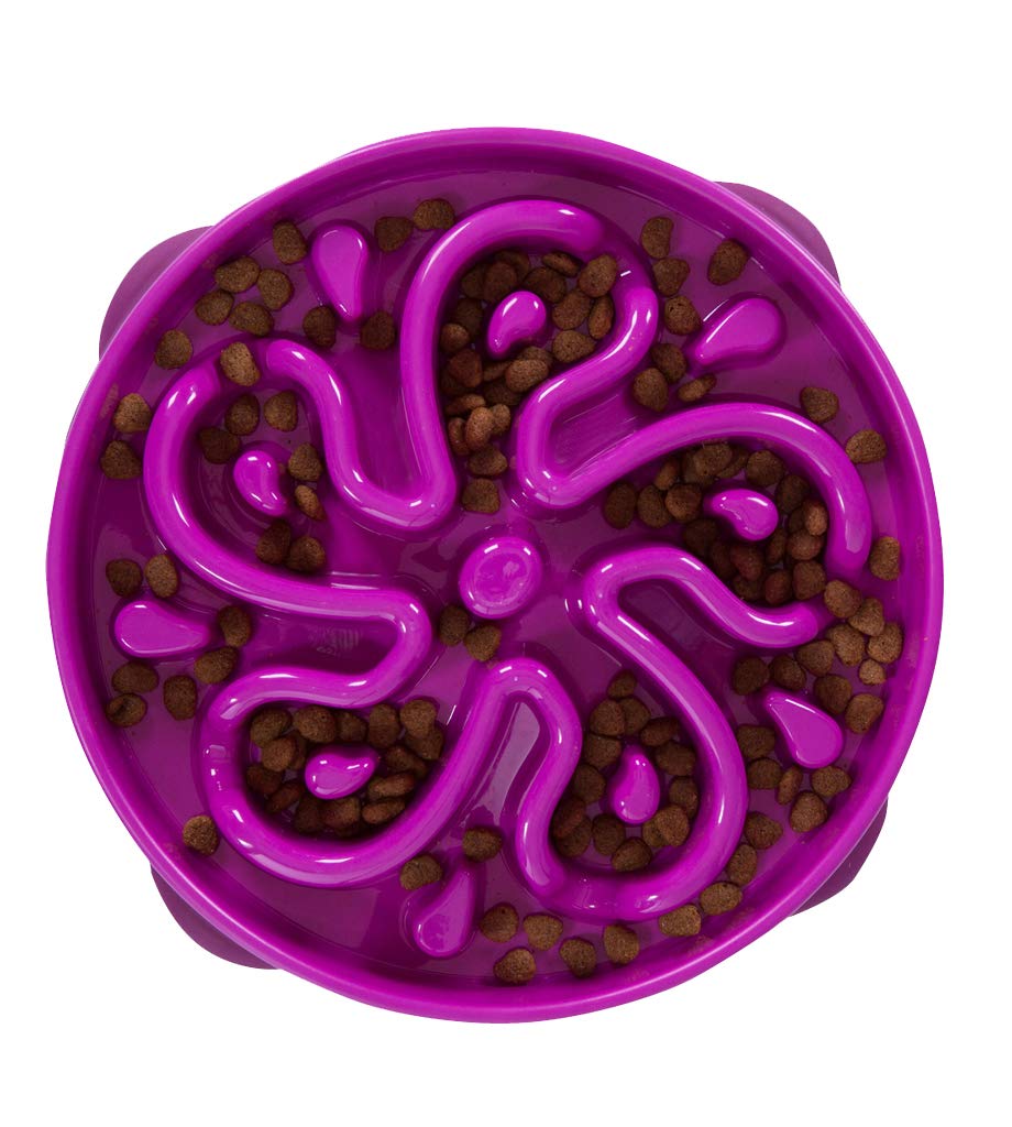 Outward Hound Fun Feeder Slo Bowl - Slow Feeder Dog Bowl for Large & Medium Dogs - Purple Anti-Gulping Pet Dish - Perfect for Fast Eaters & Mealtime Enrichment