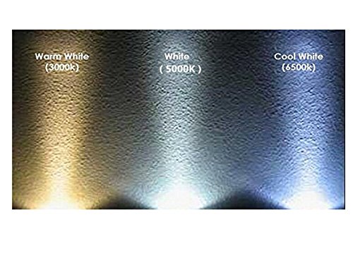 6-Pack 6W Non-Dimmable LED Filament Candle Bulbs - 5000K Daylight White, 600LM, E12 Candelabra Base (60W Incandescent Equivalent) - Perfect for Chandeliers, Wall Sconces & Decorative Lighting
