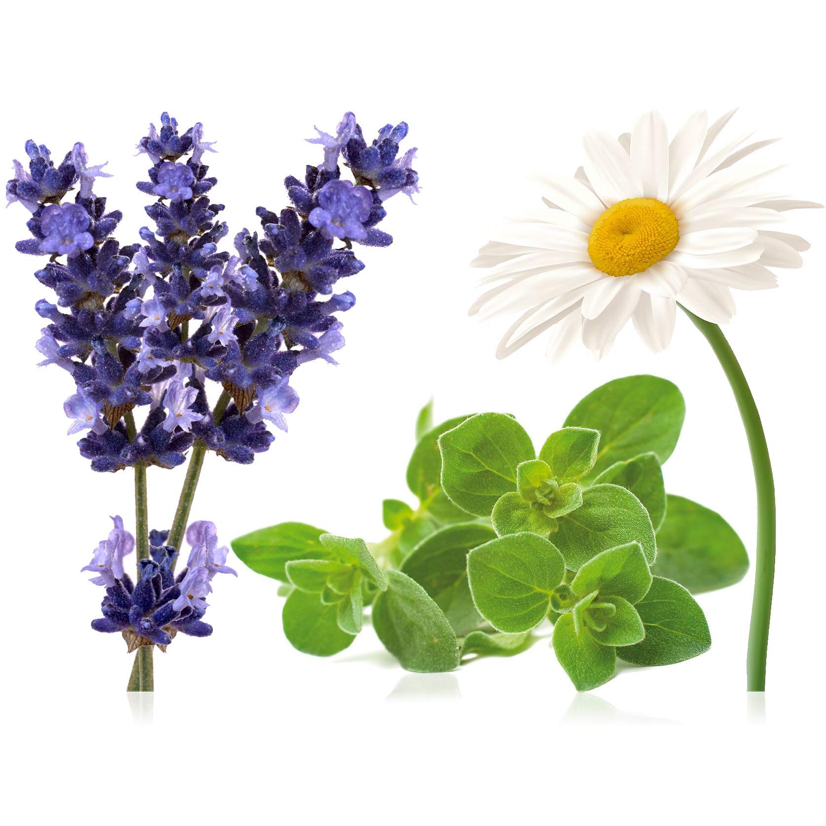 doTERRA Serenity Essential Oil Blend for Relaxation & Sleep - 15ml (Pack of 2) | Natural Stress Relief & Calming Aromatherapy for Bedtime, Meditation & Massage