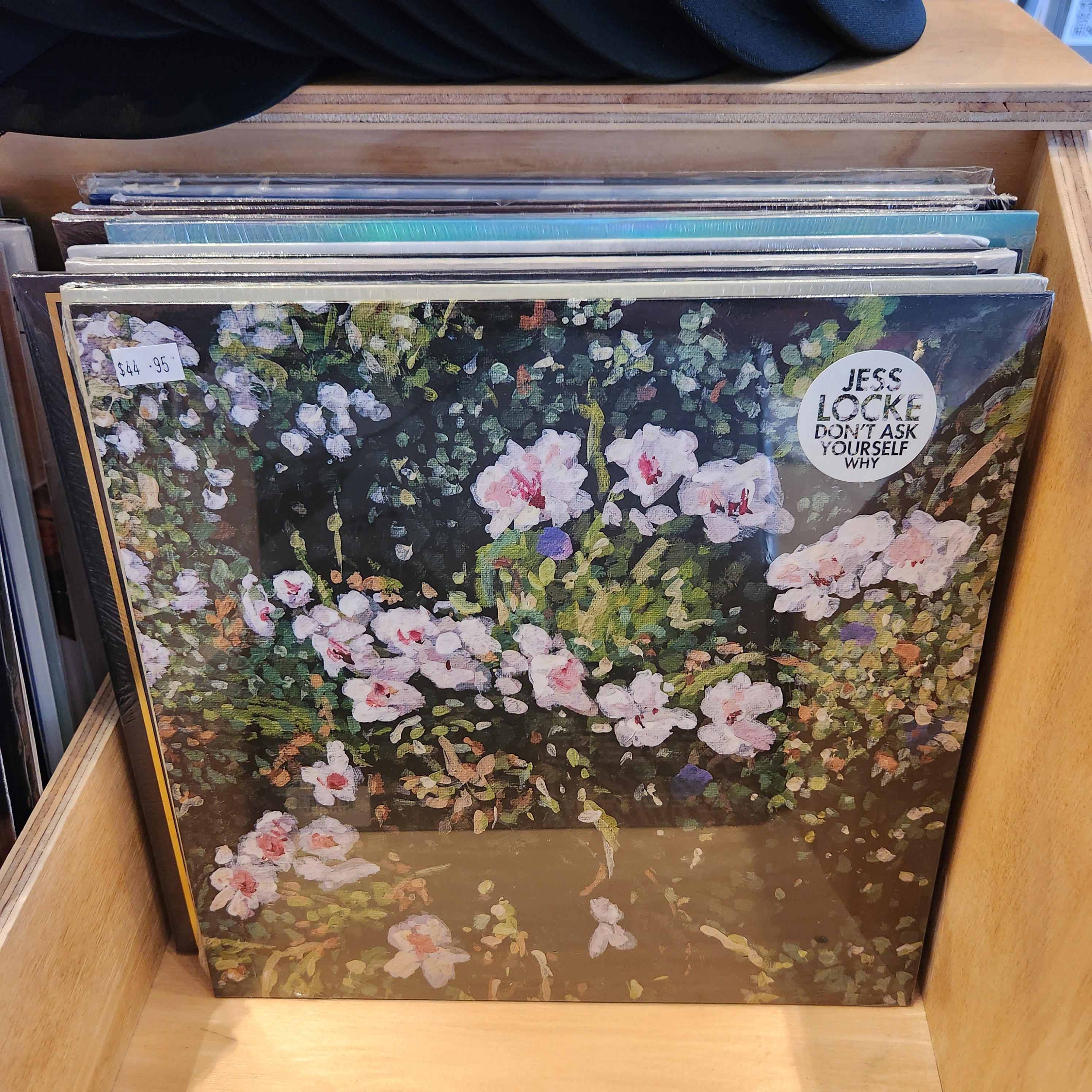 Jess Locke - Don't Ask Yourself Why (Pink Vinyl LP) | Indie Rock Music Record for Collectors & Music Lovers | Perfect for Home Listening, Gifts & Vinyl Collections