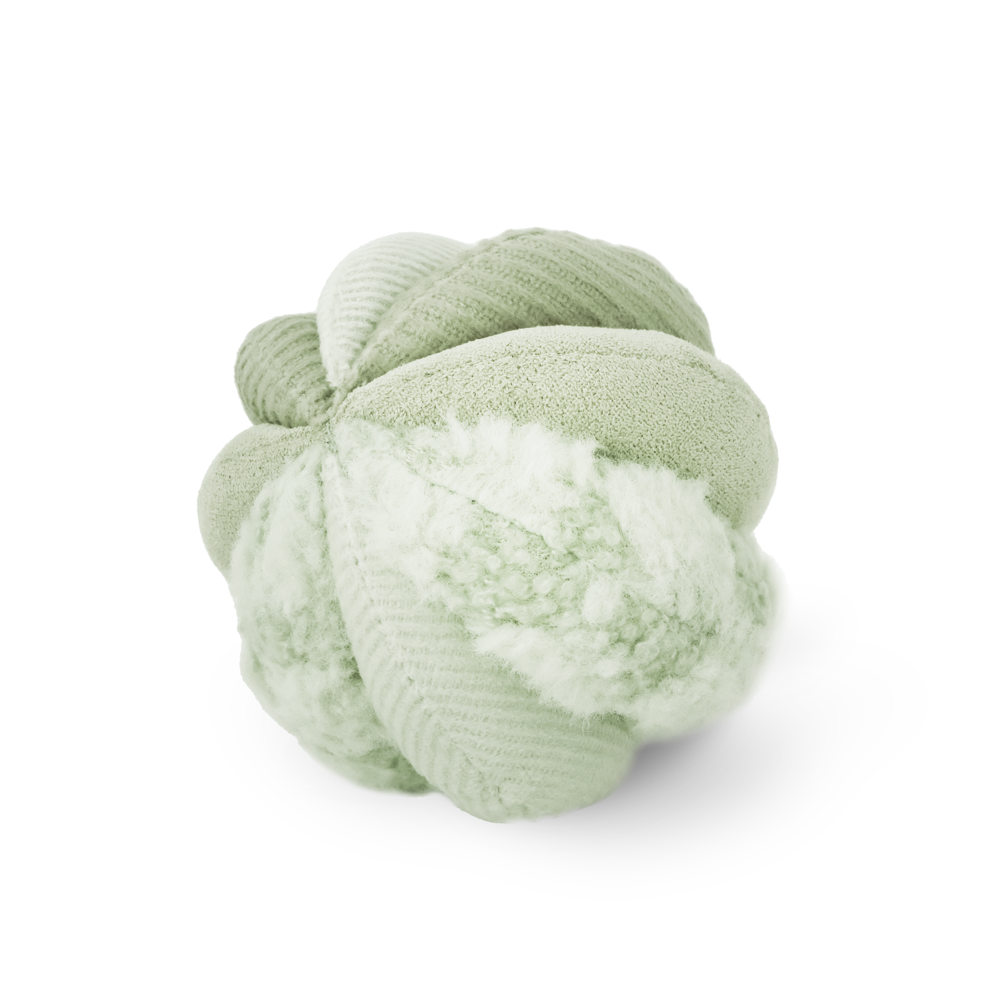 Fern