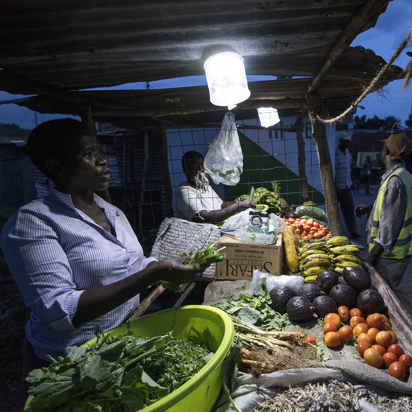 Give Energy Fund - Sustainable Investment for Renewable Energy Projects | Support Green Energy & Eco-Friendly Living