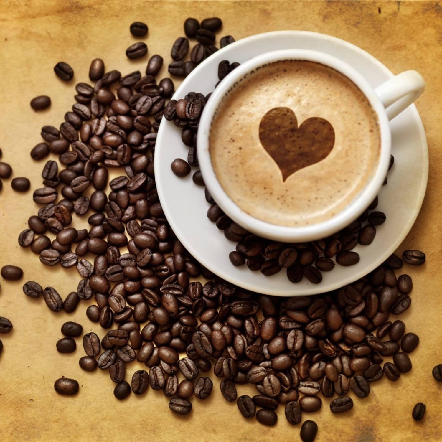 Premium Kopi Luwak Arabica Coffee Beans from Indonesia - 16oz Dark Roast Whole Bean Coffee, Wild Palm Civet Processed, Gourmet Specialty Coffee for Home Brewing, Gifts & Coffee Lovers