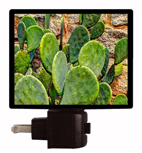 Prickly Pear Cactus Night Light - USB Powered Flower & Garden Decor for Bedroom, Nursery, Patio - Southwest Style Home Decor Gift Idea