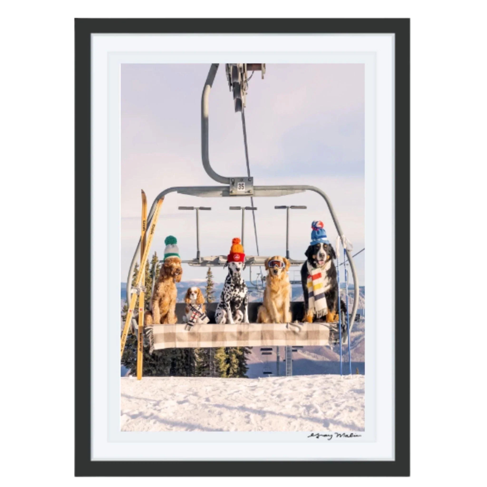 Gray Malin Chairlift Pups Vertical Print - Premium Wall Art for Home & Office Decor - Perfect for Living Rooms, Bedrooms & Gifts