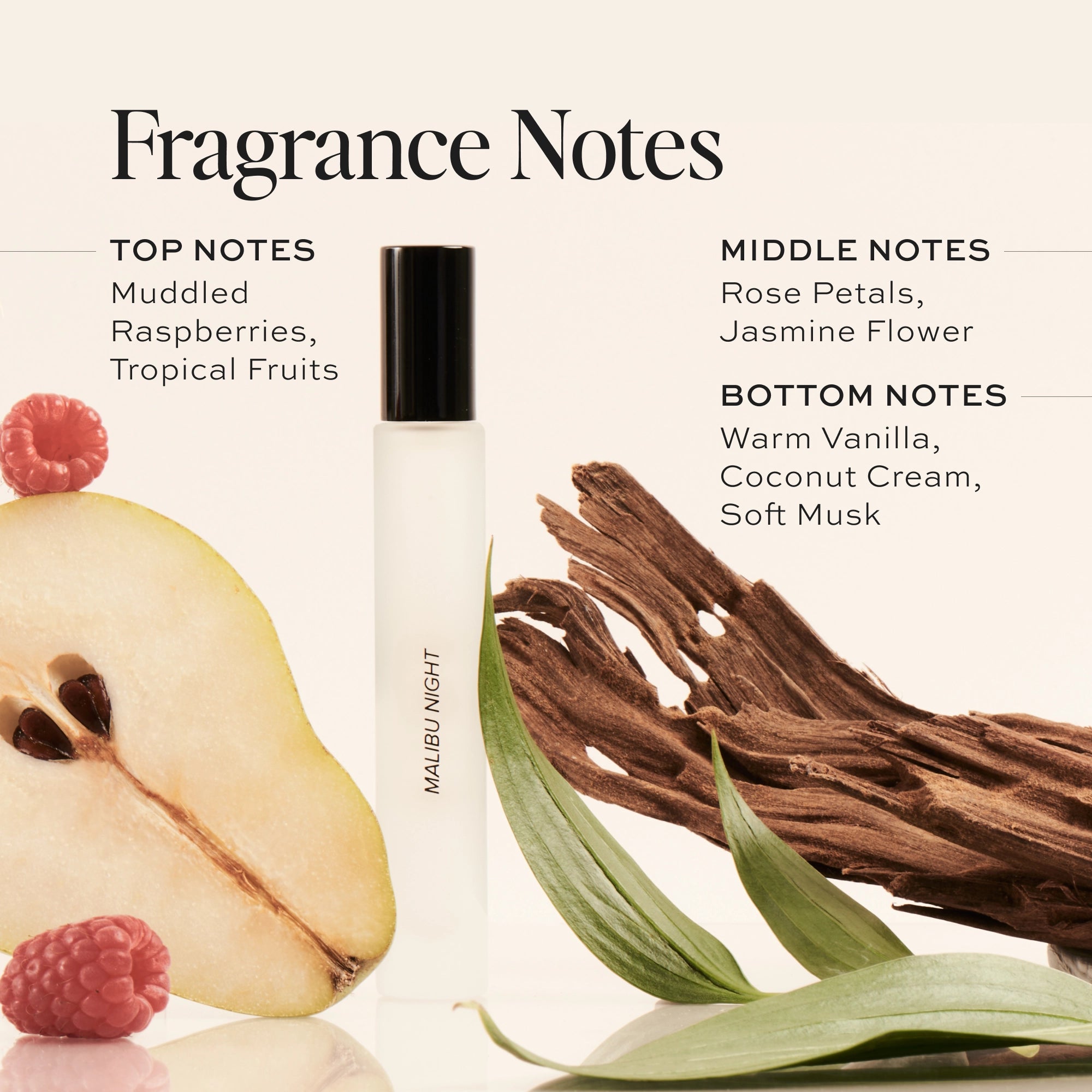Malibu Night Perfume Travel Spray - Long Lasting Fragrance for Women & Men | Perfect for Travel, Date Night & Everyday Use