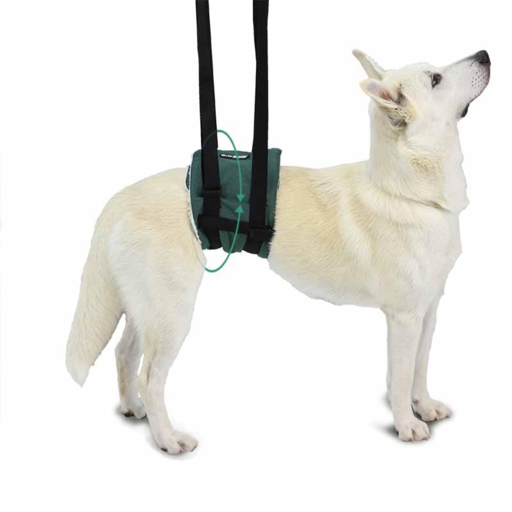 Ortocanis Dog Mobility Support Harness - Adjustable Hind Leg Walking Aid for Small Dogs with Hip Dysplasia, Arthritis, or Injury (Size XS) - Perfect for Rehabilitation, Post-Surgery Recovery & Daily Assistance