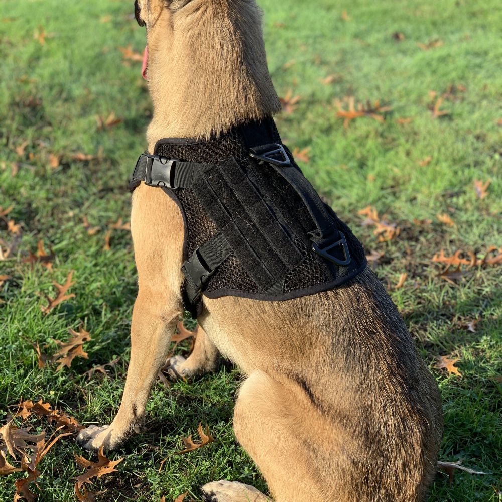 Artemis No Pull Dog Harness - Adjustable, Breathable, No Tug No Choke Pet Vest for Small Medium Large Dogs - Perfect for Walking, Running, Hiking & Outdoor Adventures