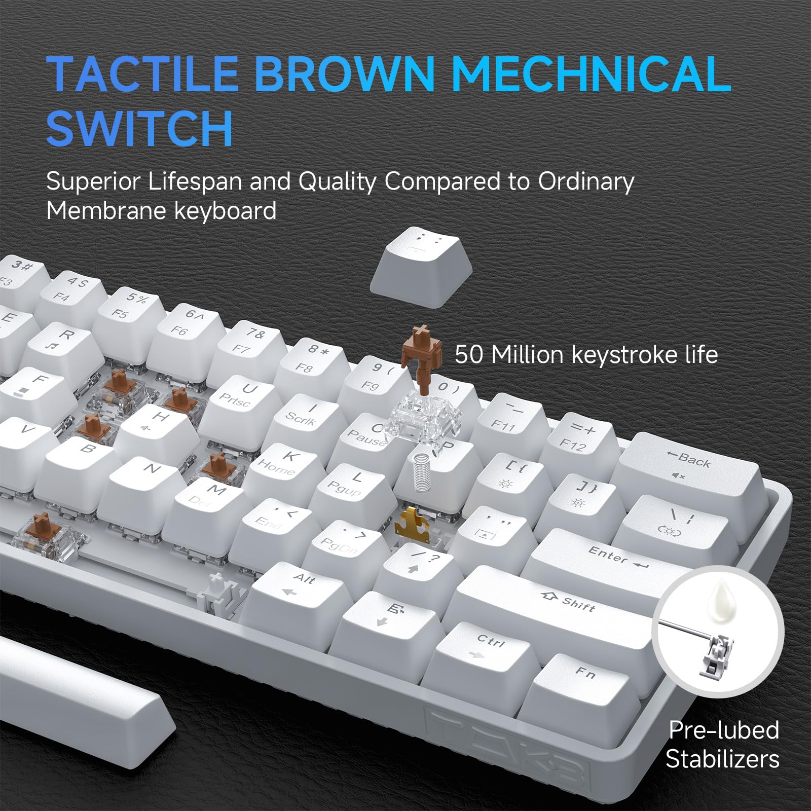 TMKB T61SE 60% Compact Mechanical Gaming Keyboard with Tactile Brown Switches - RGB LED Backlit, Double-Shot PBT Keycaps, N-Key Rollover, Detachable USB-C Cable - Perfect for Esports, Office Work & Programming (White)