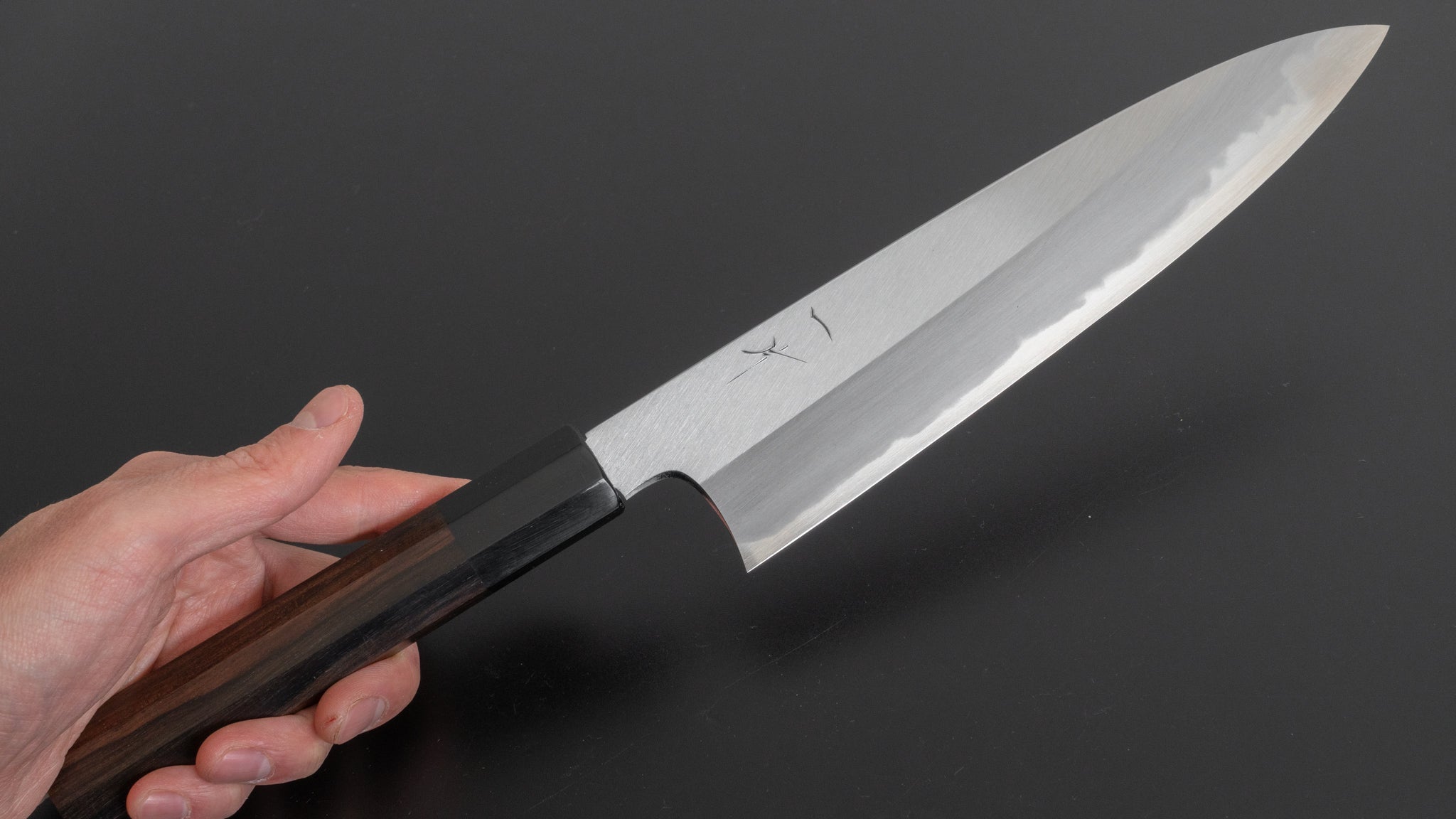 Hitohira Togashi White #1 Migaki Gyuto 210mm Japanese Chef Knife with Taihei Makassar Ebony Handle - Premium Kitchen Knife for Professional Chefs & Home Cooking - Perfect for Slicing, Dicing & Meat Preparation