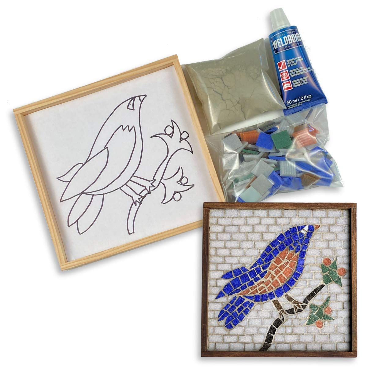 Contemporary Glass Mosaic Kit with Leponitt Tile Nipper - 8.5