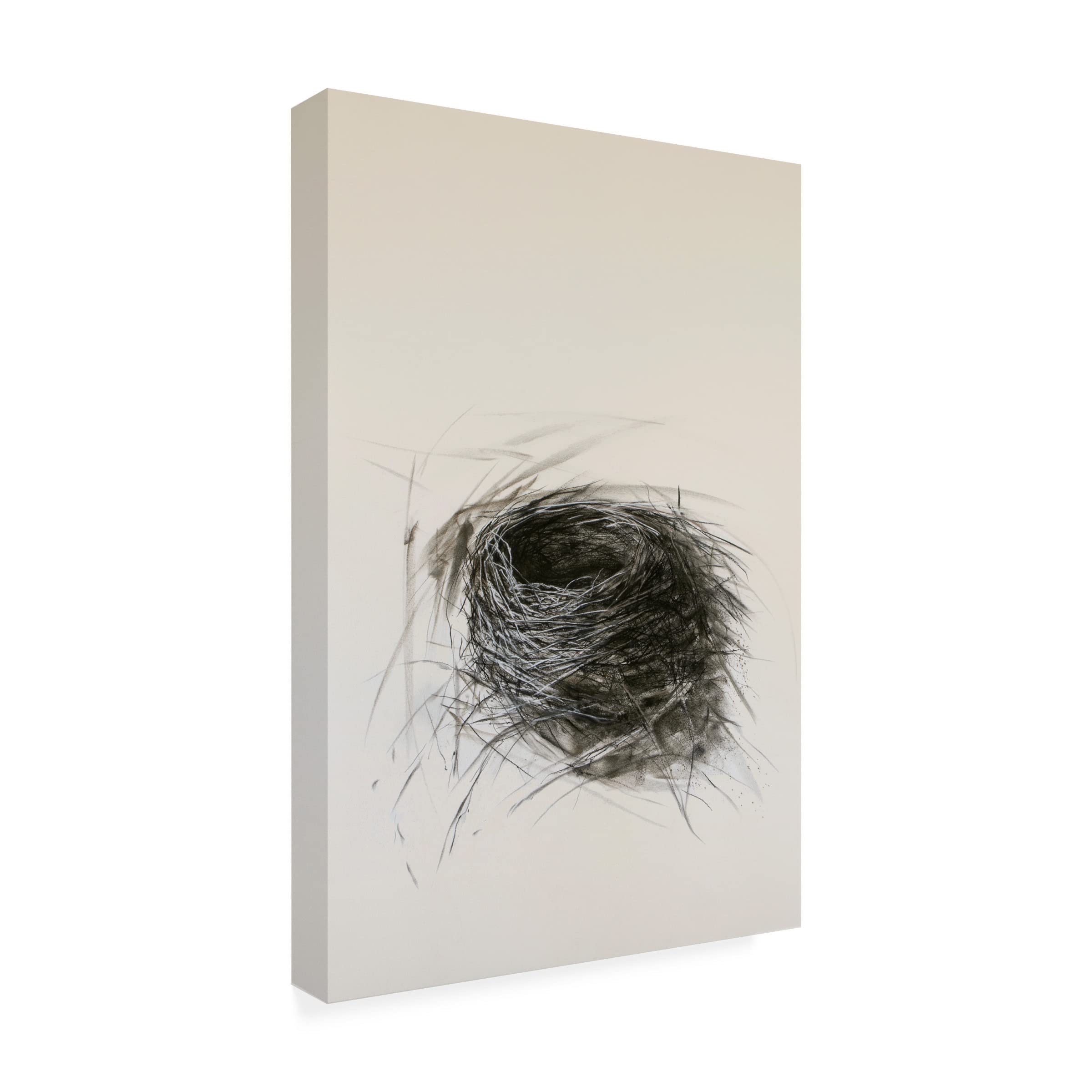 Trademark Fine Art 'Habitat' Canvas Wall Art by Kris Ekstrand - Nature Inspired Home Decor for Living Room, Bedroom & Office