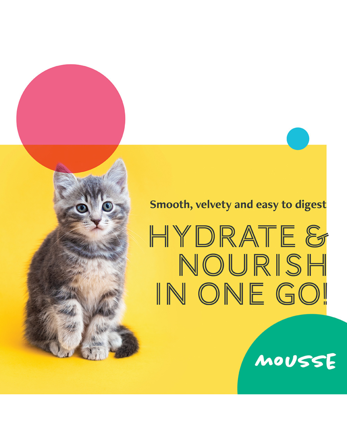 Premium Chicken Mousse Canned Cat Food 80g - Grain-Free, High Protein, Tasty Wet Food for Adult & Senior Cats - Perfect for Picky Eaters & Mealtime Enrichment