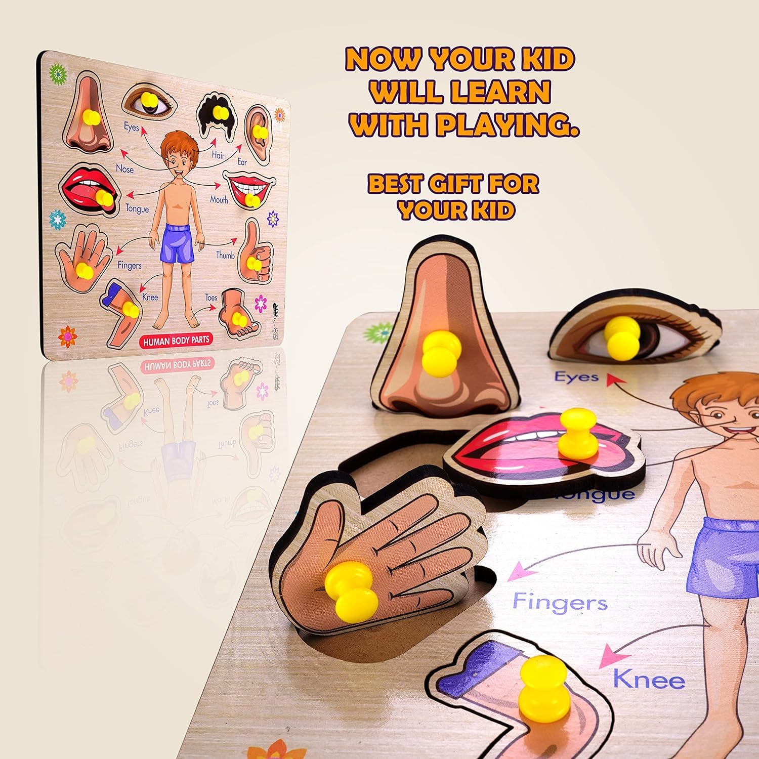 RiansCart Human Body Parts Wooden Jigsaw Puzzle - Educational Anatomy Learning Toy for Kids & Toddlers | Preschool STEM Activity, Classroom Teaching Aid & Homeschool Science Kit