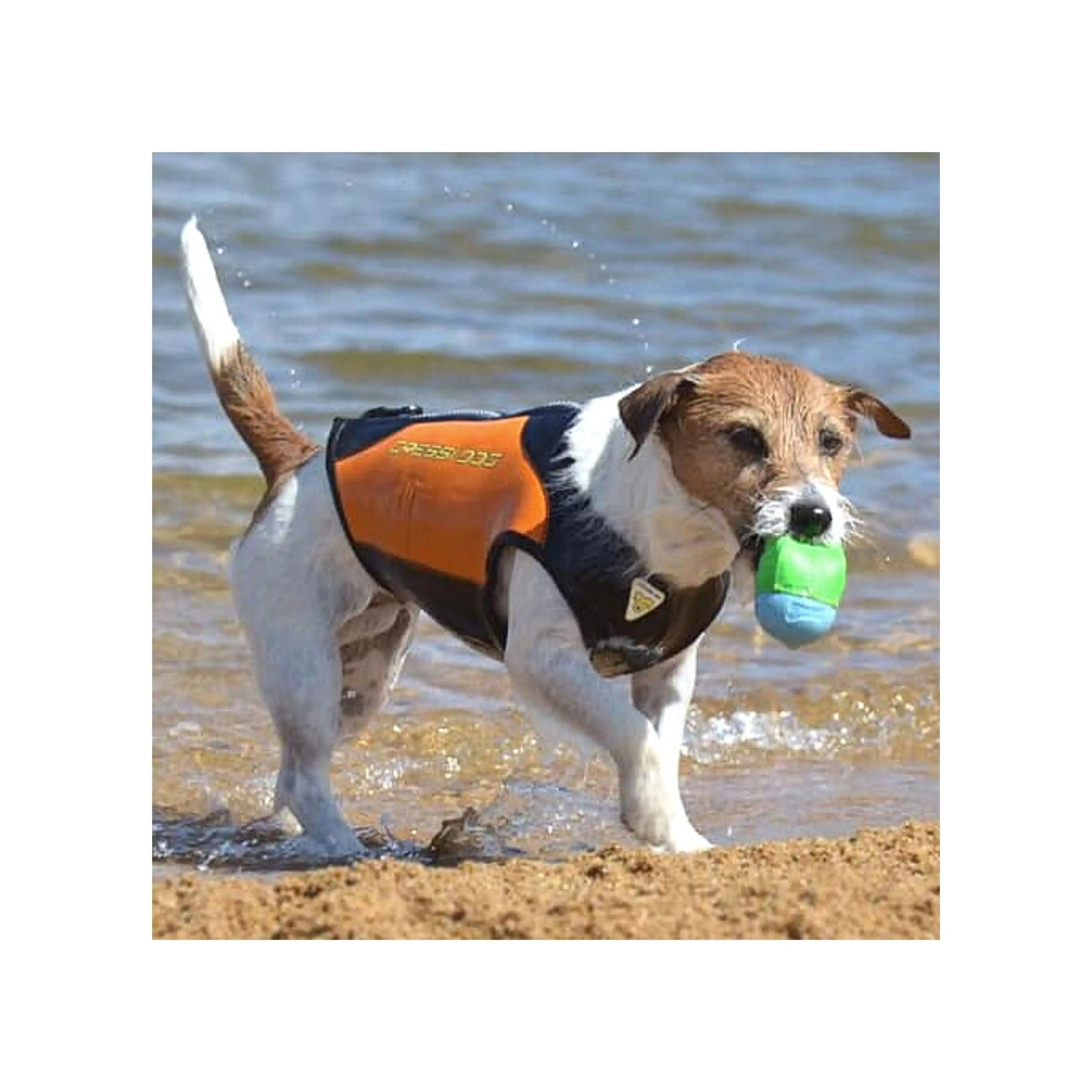 CRESSI Small Dog Wetsuit for Swimming & Water Sports - Neoprene Pet Wetsuit for Beach, Pool & Outdoor Adventures