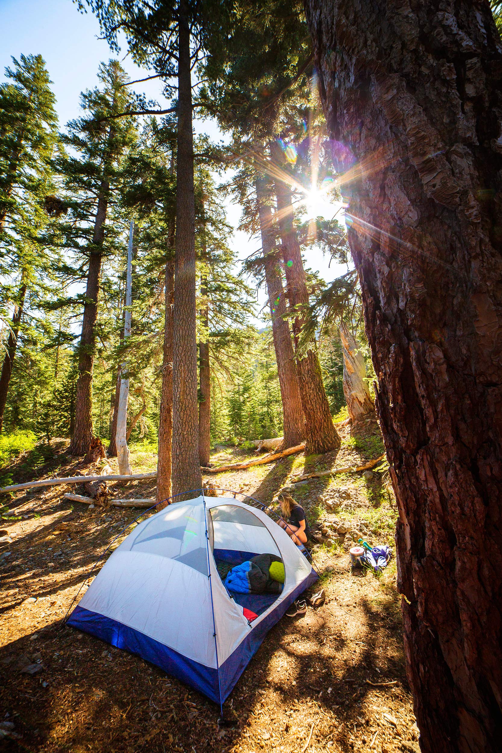 ALPS Mountaineering Lynx 2-Person Backpacking Tent - Lightweight Waterproof Camping Tent for Hiking & Outdoor Adventures | Perfect for Backpackers & Couples