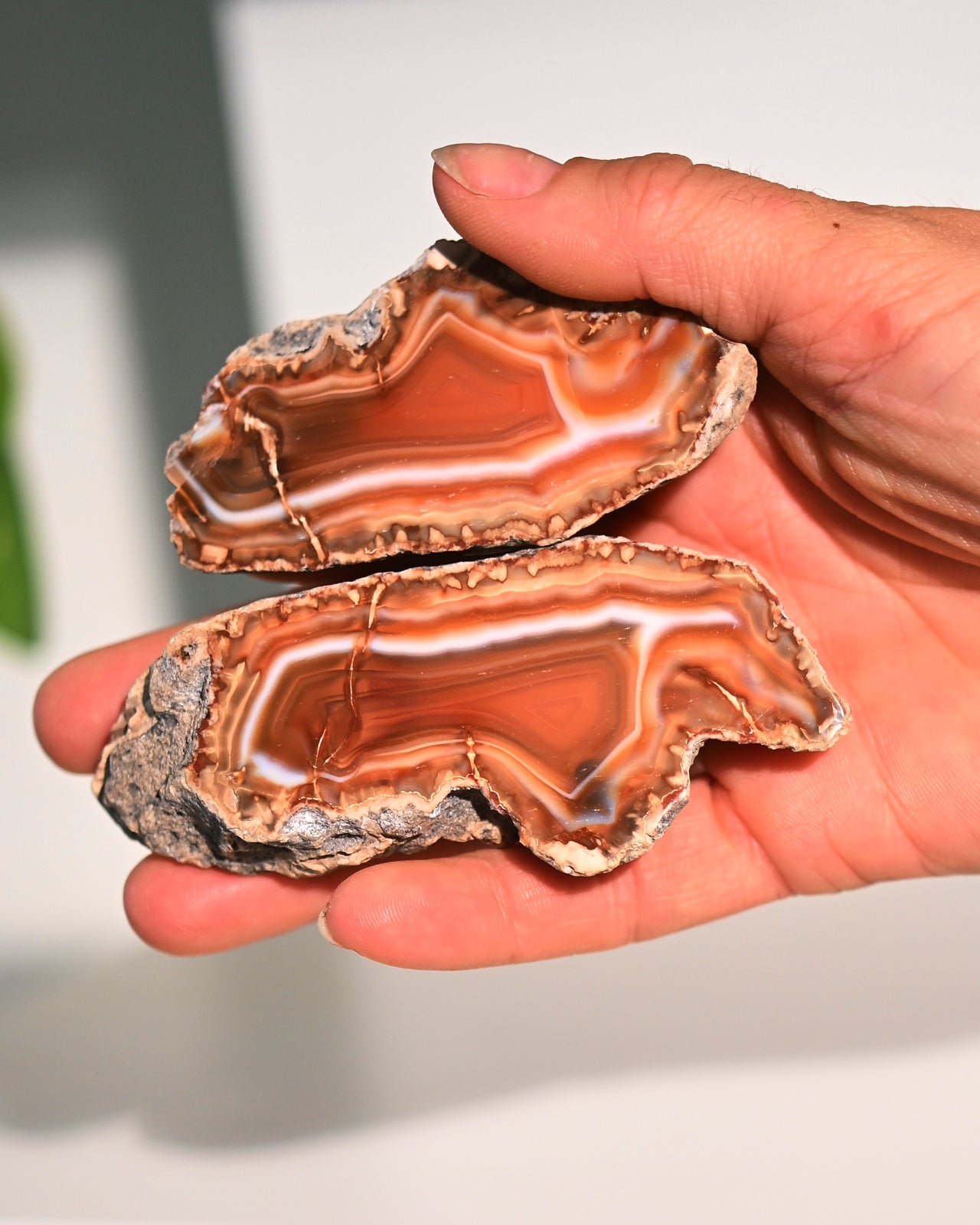 Natural Malawi Agate Geode Pair - Healing Crystals for Meditation, Home Decor & Spiritual Gifts | Perfect for Yoga Spaces, Office Desks & Crystal Collections