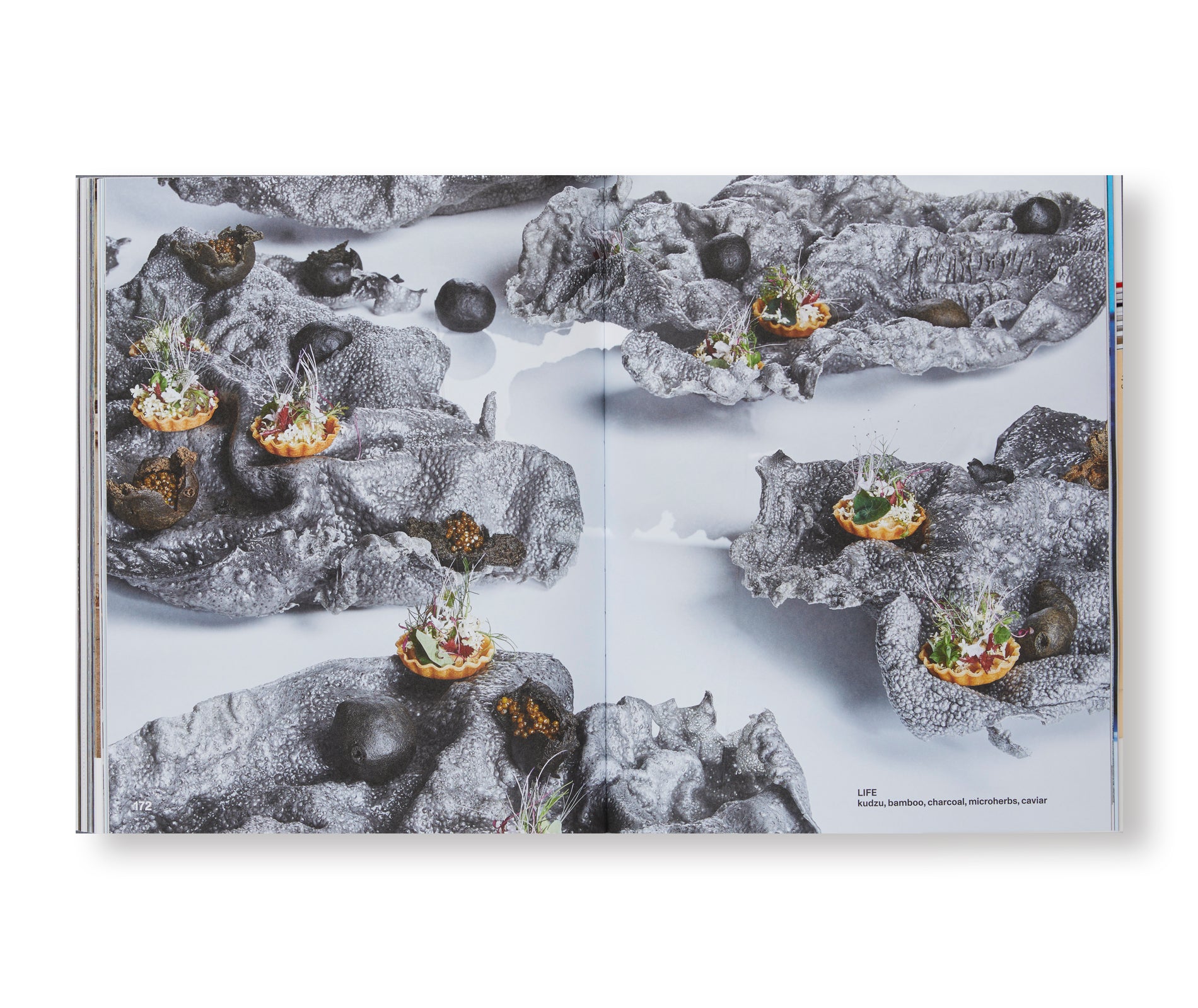 SACAI Curated Magazine - Exclusive Fashion & Design Inspiration for Trendsetters & Style Enthusiasts | Perfect for Home Decor, Coffee Table Display & Creative Gift Ideas