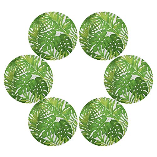 Palm Monstera Leaves