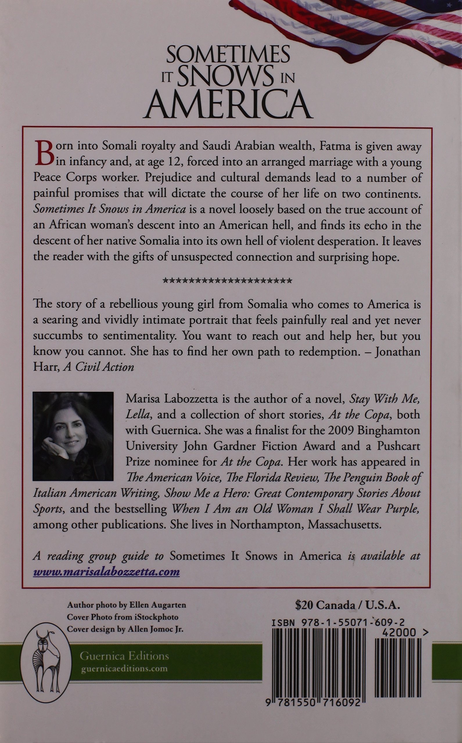 Sometimes It Snows in America - Essential Prose Series Book | Literary Fiction Novel for Book Clubs & Winter Reading