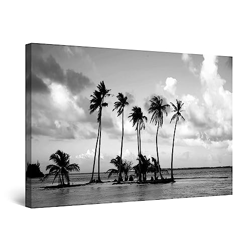 Black White Palm