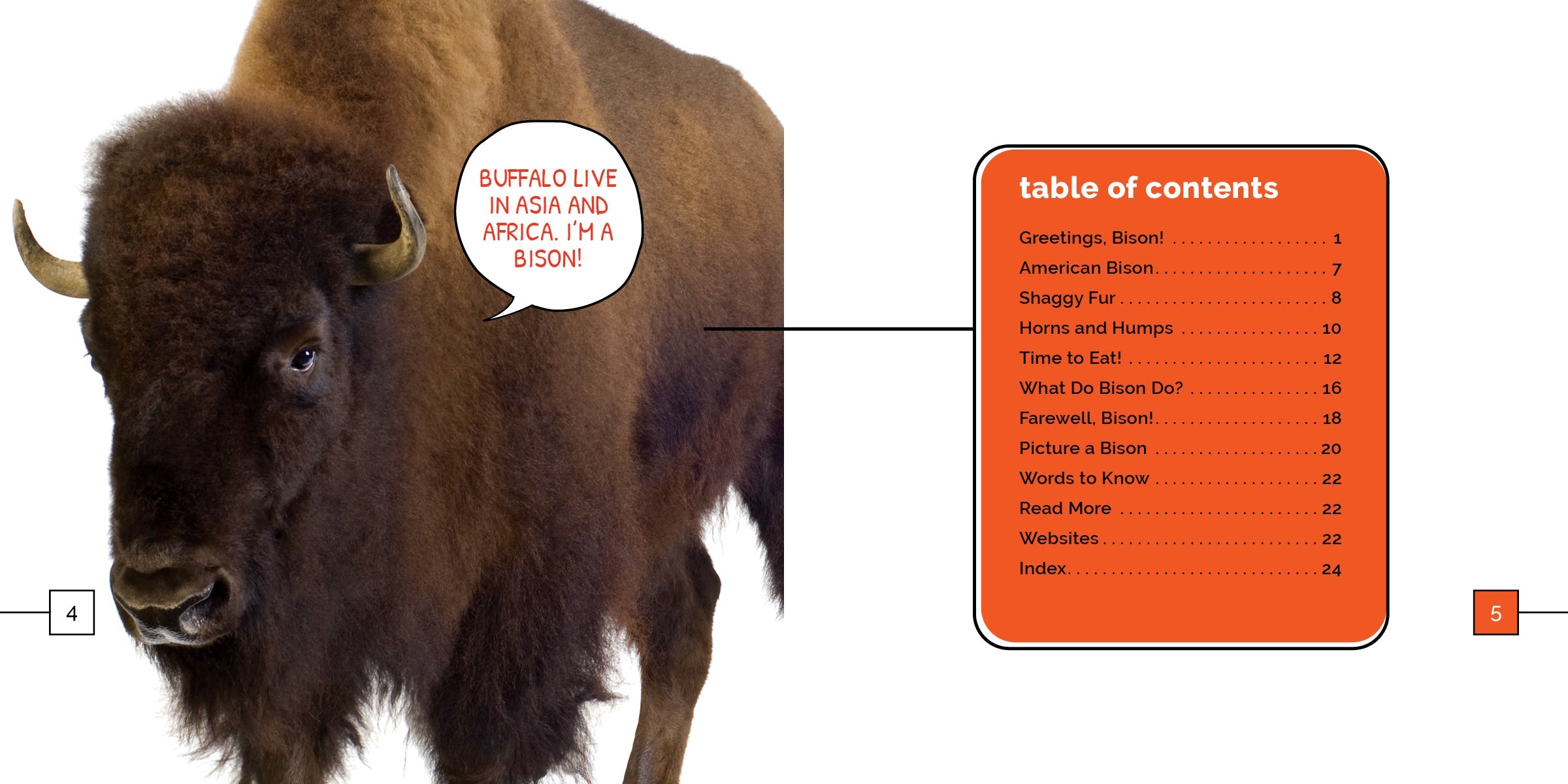Bison Marvels - Premium Bison-Themed Gifts & Decor for Home, Office & Outdoor Adventures | Unique Wildlife Souvenirs & Collectibles