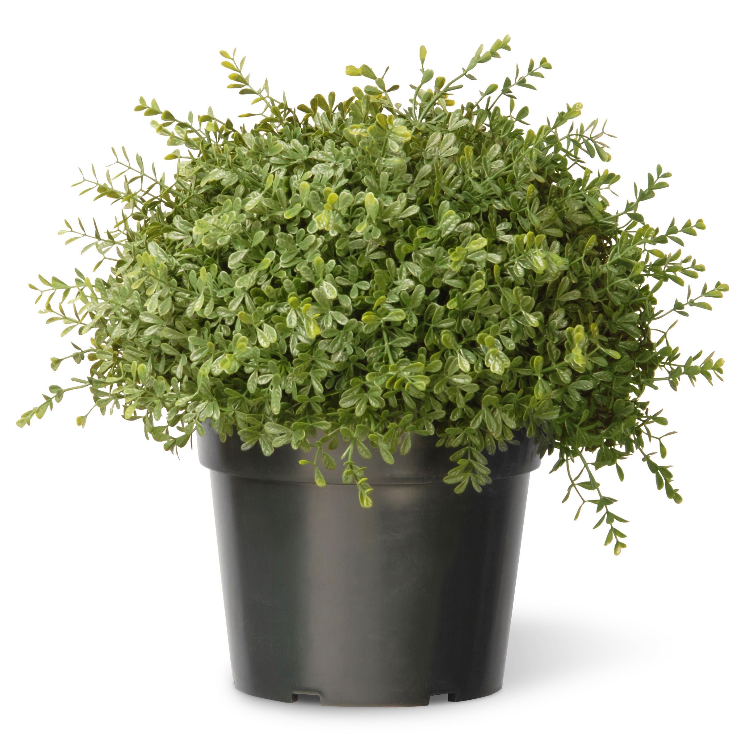 15 Pack Artificial Mini Tea Leaf Bush in Growers Pot - Faux Potted Plants for Home Decor, Office Desk, Wedding Centerpieces & Indoor Greenery