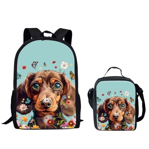 Cute Dachshund
