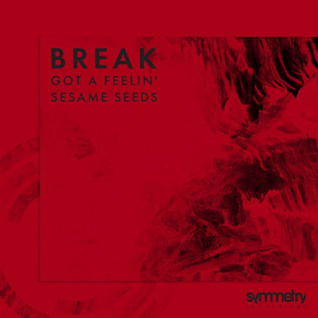 Break – Got A Feelin' / Sesame Seeds Vinyl Record – SYMM030 by Symmetry Recordings – Perfect for DJ Sets & Electronic Music Collectors